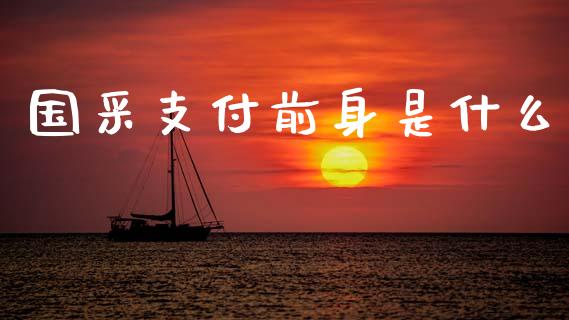 国采支付前身是什么_https://wap.jnlaobingbanjia.com_股市行情_第1张