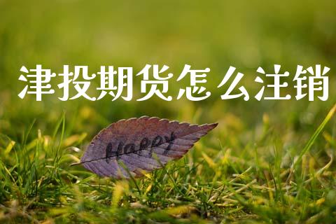 津投期货怎么注销_https://wap.jnlaobingbanjia.com_金融理财_第1张