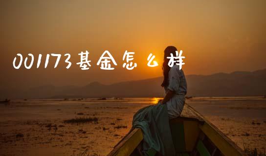 001173基金怎么样_https://wap.jnlaobingbanjia.com_股市行情_第1张