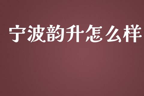 宁波韵升怎么样_https://wap.jnlaobingbanjia.com_财经资讯_第1张