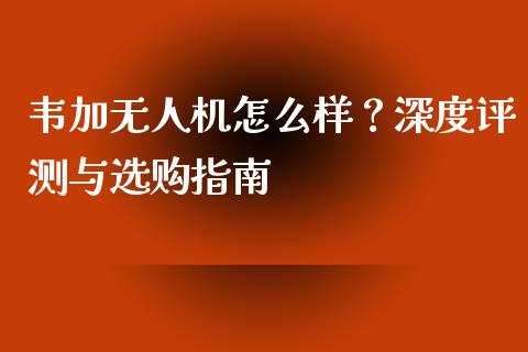 韦加无人机怎么样？深度评测与选购指南_https://wap.jnlaobingbanjia.com_证券公告_第1张