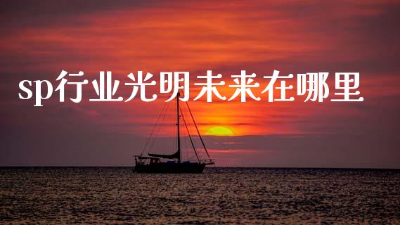 sp行业光明未来在哪里_https://wap.jnlaobingbanjia.com_财经资讯_第1张