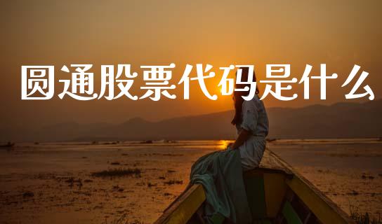 圆通股票代码是什么_https://wap.jnlaobingbanjia.com_基金分析_第1张