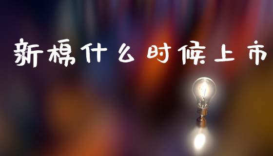 新棉什么时候上市_https://wap.jnlaobingbanjia.com_证券公告_第1张