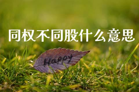 同权不同股什么意思_https://wap.jnlaobingbanjia.com_财务管理_第1张
