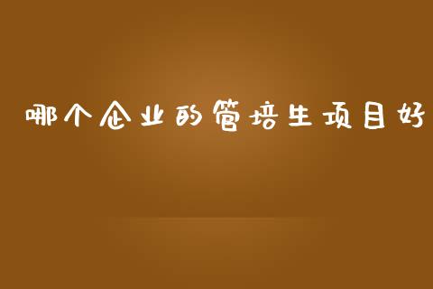 哪个企业的管培生项目好_https://wap.jnlaobingbanjia.com_财经资讯_第1张