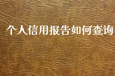 个人信用报告如何查询_https://wap.jnlaobingbanjia.com_财务管理_第1张