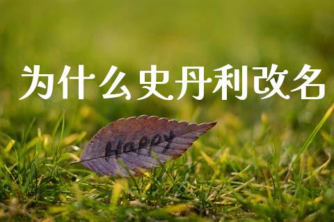 为什么史丹利改名_https://wap.jnlaobingbanjia.com_基金分析_第1张