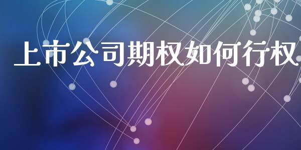 上市公司期权如何行权_https://wap.jnlaobingbanjia.com_财经资讯_第1张