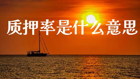 质押率是什么意思_https://wap.jnlaobingbanjia.com_金融理财_第1张