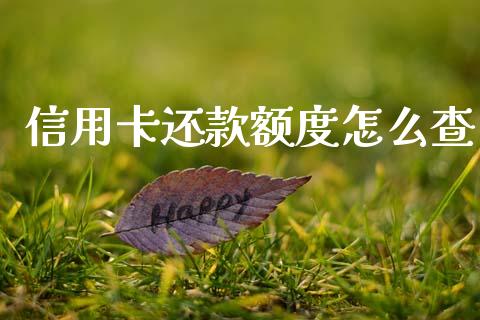 信用卡还款额度怎么查_https://wap.jnlaobingbanjia.com_股市行情_第1张