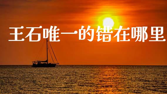 王石唯一的错在哪里_https://wap.jnlaobingbanjia.com_金融理财_第1张