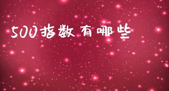 500指数有哪些_https://wap.jnlaobingbanjia.com_基金分析_第1张