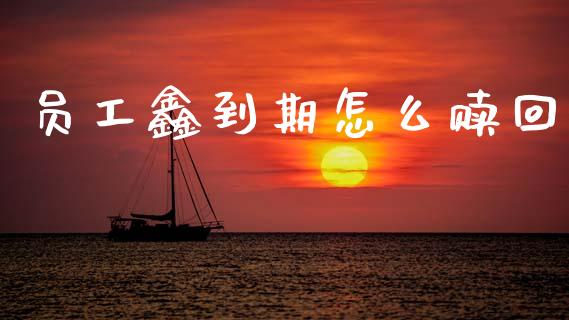 员工鑫到期怎么赎回_https://wap.jnlaobingbanjia.com_金融理财_第1张