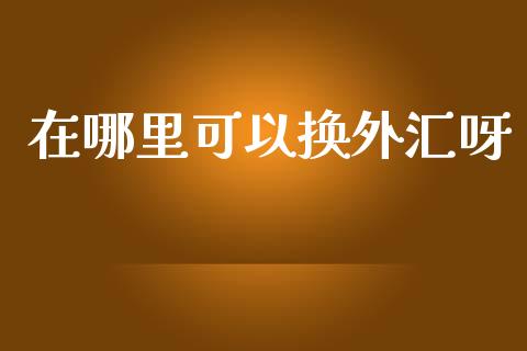 在哪里可以换外汇呀_https://wap.jnlaobingbanjia.com_财务管理_第1张
