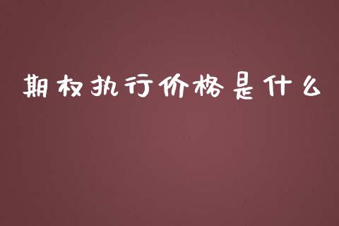期权执行价格是什么_https://wap.jnlaobingbanjia.com_财务管理_第1张