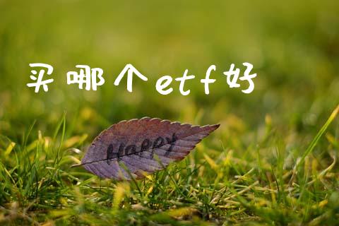 买哪个etf好_https://wap.jnlaobingbanjia.com_财务管理_第1张