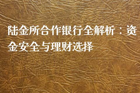 陆金所合作银行全解析：资金安全与理财选择_https://wap.jnlaobingbanjia.com_财经资讯_第1张