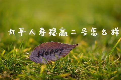 太平人寿稳赢二号怎么样_https://wap.jnlaobingbanjia.com_证券公告_第1张