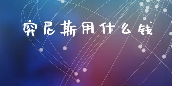 突尼斯用什么钱_https://wap.jnlaobingbanjia.com_证券公告_第1张