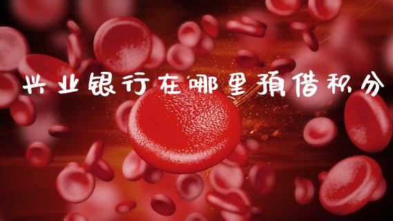 兴业银行在哪里预借积分_https://wap.jnlaobingbanjia.com_金融理财_第1张