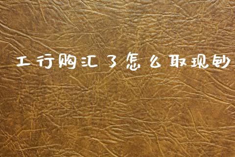 工行购汇了怎么取现钞_https://wap.jnlaobingbanjia.com_财务管理_第1张