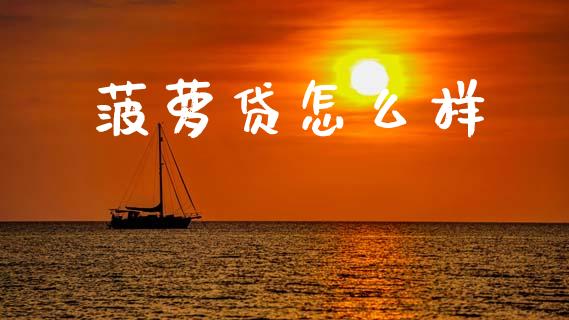 菠萝贷怎么样_https://wap.jnlaobingbanjia.com_财经资讯_第1张