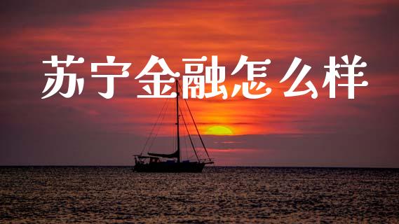苏宁金融怎么样_https://wap.jnlaobingbanjia.com_财经资讯_第1张