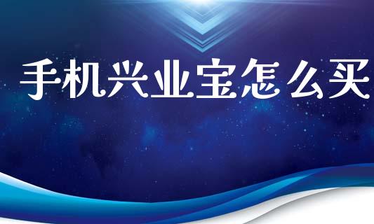 手机兴业宝怎么买_https://wap.jnlaobingbanjia.com_财经资讯_第1张