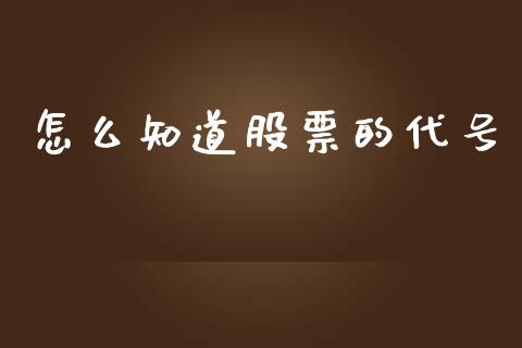 怎么知道股票的代号_https://wap.jnlaobingbanjia.com_证券公告_第1张