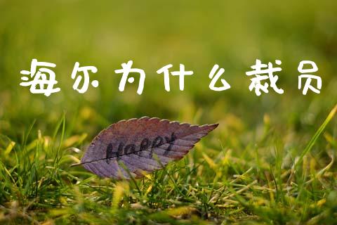 海尔为什么裁员_https://wap.jnlaobingbanjia.com_股市行情_第1张