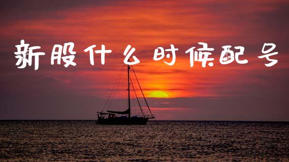 新股什么时候配号_财经资讯_第1张_财经资讯_股市行情_财务管理_金融理财 新股什么时候配号_https://wap.jnlaobingbanjia.com_财经资讯_第1张
