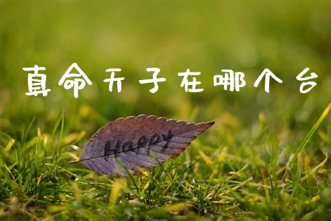 真命天子在哪个台_https://wap.jnlaobingbanjia.com_证券公告_第1张