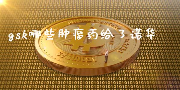 gsk哪些肿瘤药给了诺华_https://wap.jnlaobingbanjia.com_财务管理_第1张