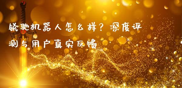 锐驰机器人怎么样？深度评测与用户真实反馈_https://wap.jnlaobingbanjia.com_金融理财_第1张