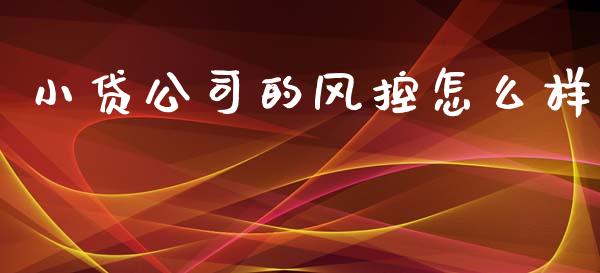 小贷公司的风控怎么样_https://wap.jnlaobingbanjia.com_基金分析_第1张