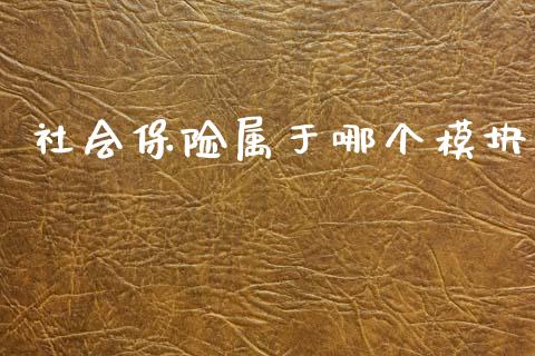 社会保险属于哪个模块_https://wap.jnlaobingbanjia.com_财经资讯_第1张