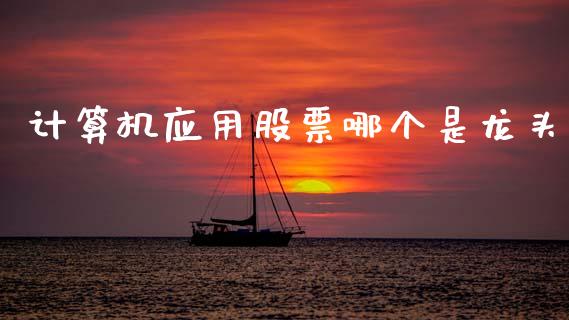 计算机应用股票哪个是龙头_https://wap.jnlaobingbanjia.com_财务管理_第1张