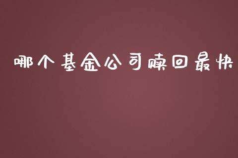 哪个基金公司赎回最快_https://wap.jnlaobingbanjia.com_基金分析_第1张