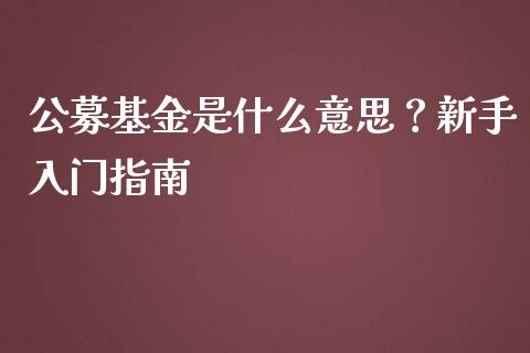 公募基金是什么意思？新手入门指南_https://wap.jnlaobingbanjia.com_财经资讯_第1张