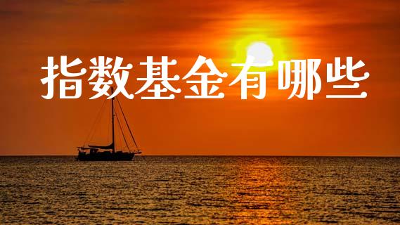 指数基金有哪些_https://wap.jnlaobingbanjia.com_基金分析_第1张