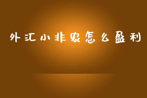 外汇小非农怎么盈利_https://wap.jnlaobingbanjia.com_证券公告_第1张