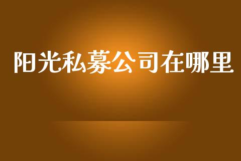 阳光私募公司在哪里_https://wap.jnlaobingbanjia.com_财经资讯_第1张