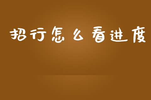 招行怎么看进度_https://wap.jnlaobingbanjia.com_股市行情_第1张