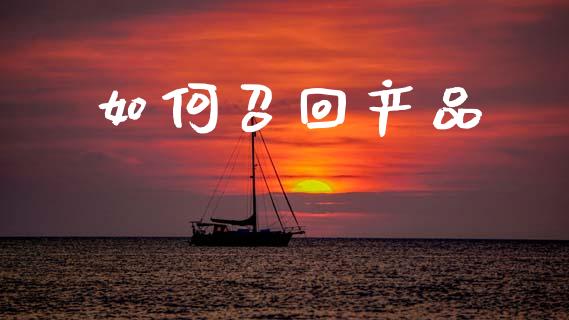 如何召回产品_https://wap.jnlaobingbanjia.com_证券公告_第1张