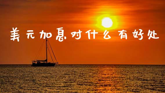 美元加息对什么有好处_https://wap.jnlaobingbanjia.com_基金分析_第1张