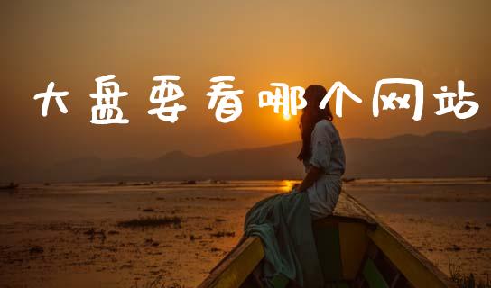 大盘要看哪个网站_https://wap.jnlaobingbanjia.com_证券公告_第1张