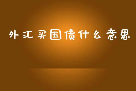外汇买国债什么意思_https://wap.jnlaobingbanjia.com_基金分析_第1张