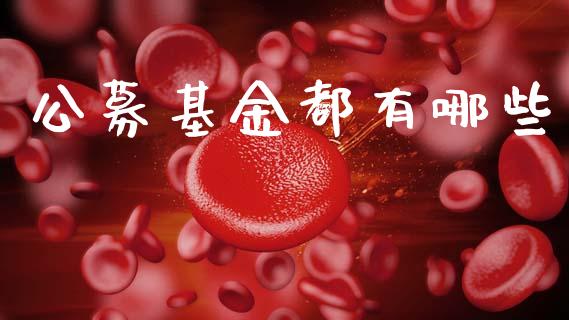 公募基金都有哪些_https://wap.jnlaobingbanjia.com_证券公告_第1张