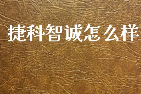 捷科智诚怎么样_https://wap.jnlaobingbanjia.com_证券公告_第1张